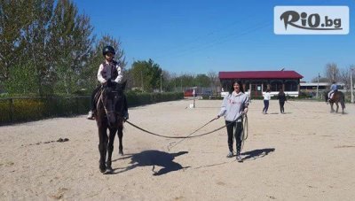 Урок по конна езда в манеж за начинаещи или напреднали, от Конна база Тара, с. Ягодово - Забавление край Пловдив!