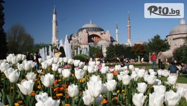Екскурзия до Истанбул и Одрин за Фестивала на лалетата! 3 нощувки със закуски + транспорт, от Bulgarian Holidays