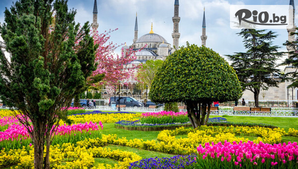 Екскурзия до Истанбул за Фестивала на лалето! 3 нощувки със закуски + транспорт от Варна и Бургас, от Елени Травел