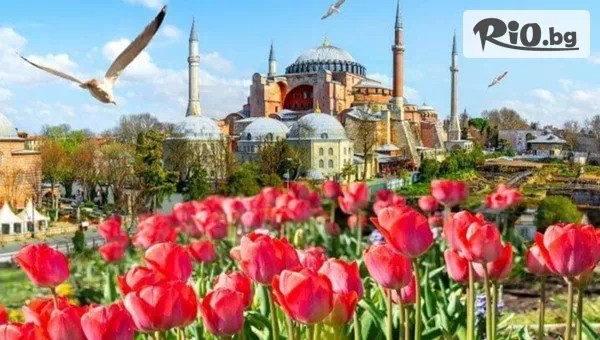 Фестивал на лалето в Истанбул! 2 нощувки, закуски + Посещение на парк Емиргян, посещение на Одрин и автобусен транспорт