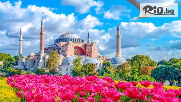 Фестивал на лалето в Истанбул! 2 нощувки със закуски + транспорт от София и възможност за разходка с кораб по Босфора