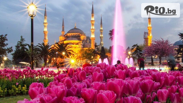 Екскурзия до Истанбул за Фестивала на лалето! 2 нощувки със закуски в Хотел Golden Tulip Istanbul Bayrampasa 5* + транспорт, от Караджъ Турс