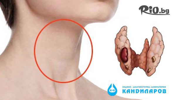 Изследване на антитела ТАТ и МАТ на щитовидната жлеза в СМДЛ Кандиларов