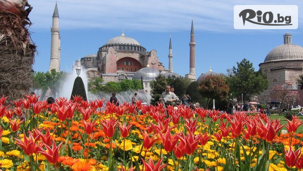Екскурзия за Фестивала на лалето в Истанбул през Април с отпътуване от Плевен и София! 2 нощувки със закуски + транспорт и посещение на парка Емиргян, от ВИП Турс