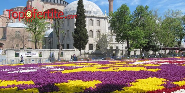 4-дневна екскурзия за Фестивала на Лалето в Истанбул с възможност за посещение на Watergarden iStanbul + 2 нощувки със закуски, транспорт и екскурзоводско обслужване за 109 лв.
